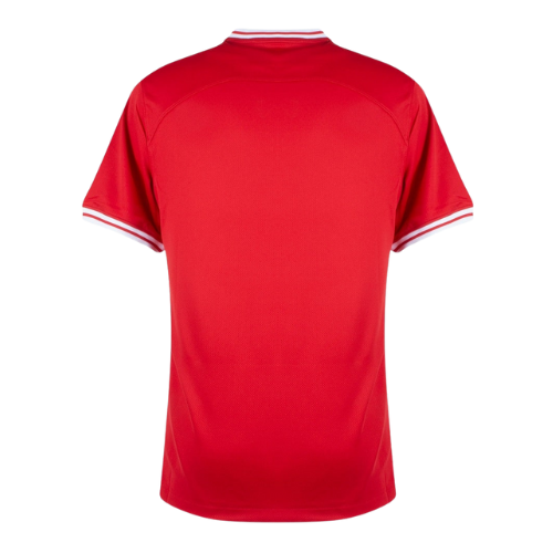 MAILLOT POLOGNE EURO 2024 EXTÉRIEUR