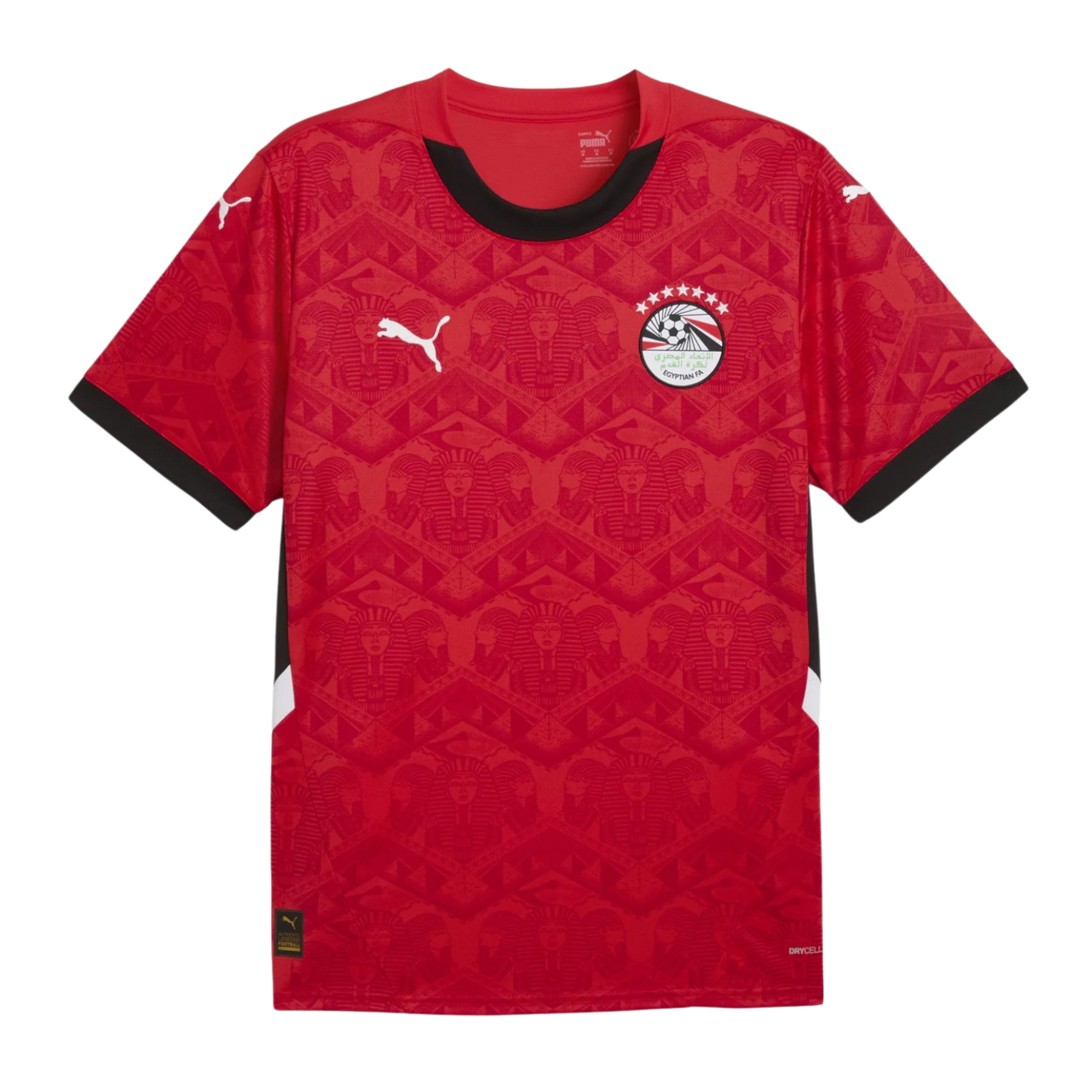MAILLOT EGYPTE 25/26 DOMICILE